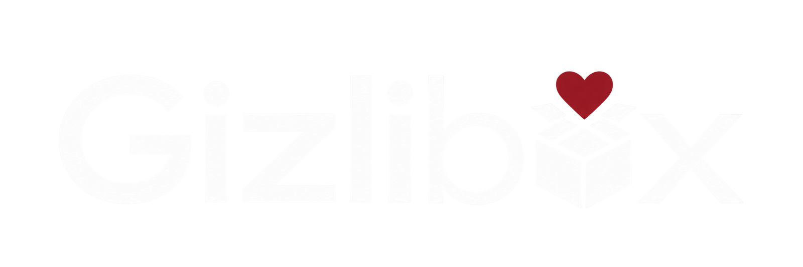 gizlibox